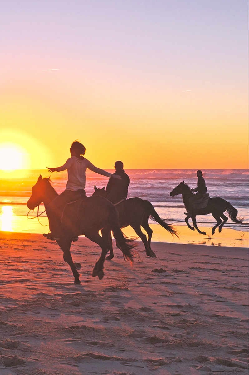 Paseo a caballo por la playa y Doñana