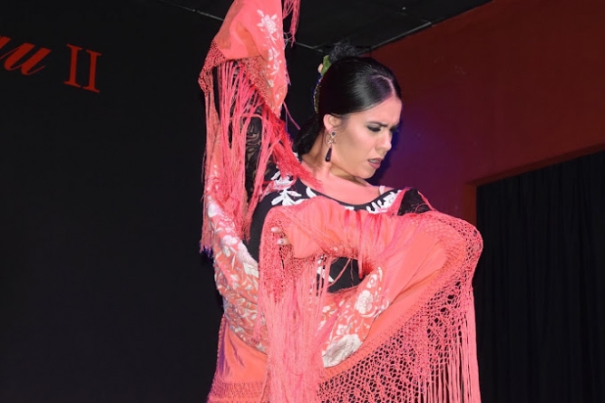 Espectáculo flamenco en El Rompido